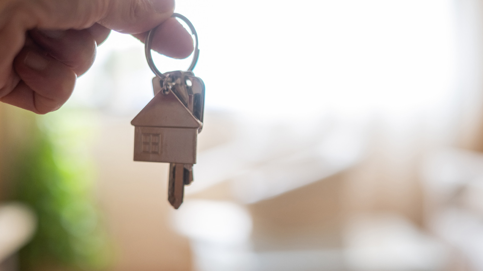 Tapuda yeni dönem... Tarih belli oldu