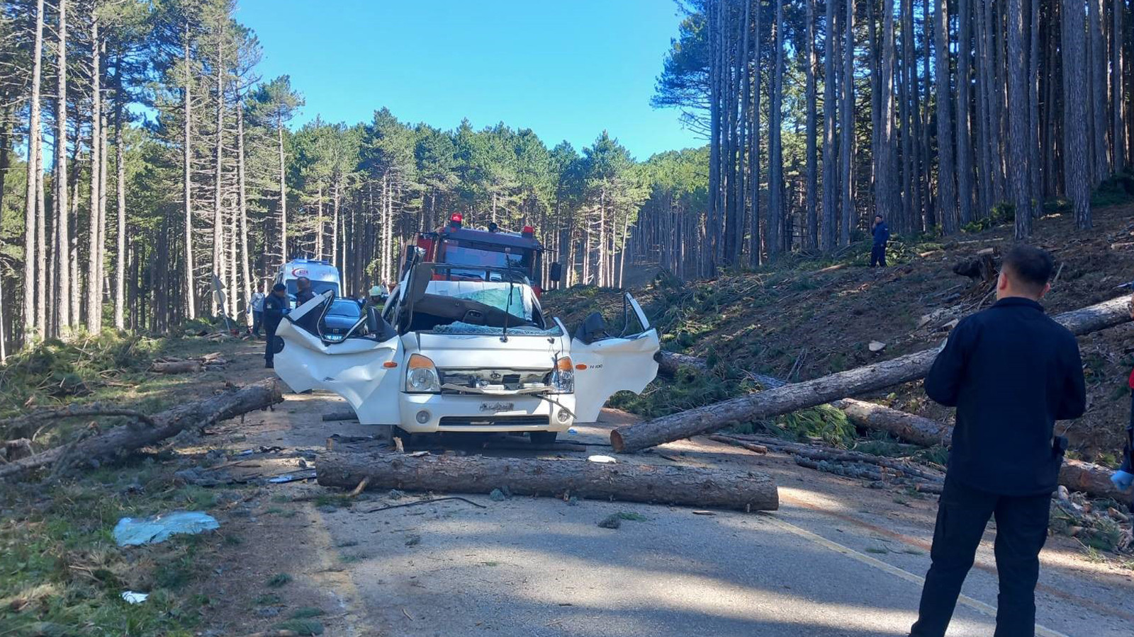 Uludağ’da dehşet: Kesilen ağaç şoför mahalline çakıldı, sürücü can verdi