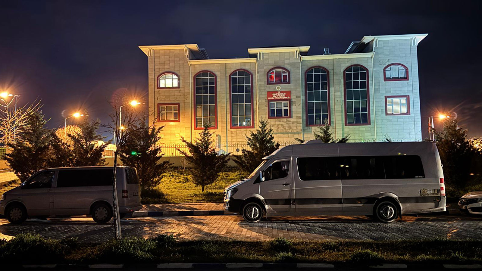 Van'da sahipsiz köpekler dehşet saçtı! 5 yaşındaki çocuk öldü, kuzeni yaralandı