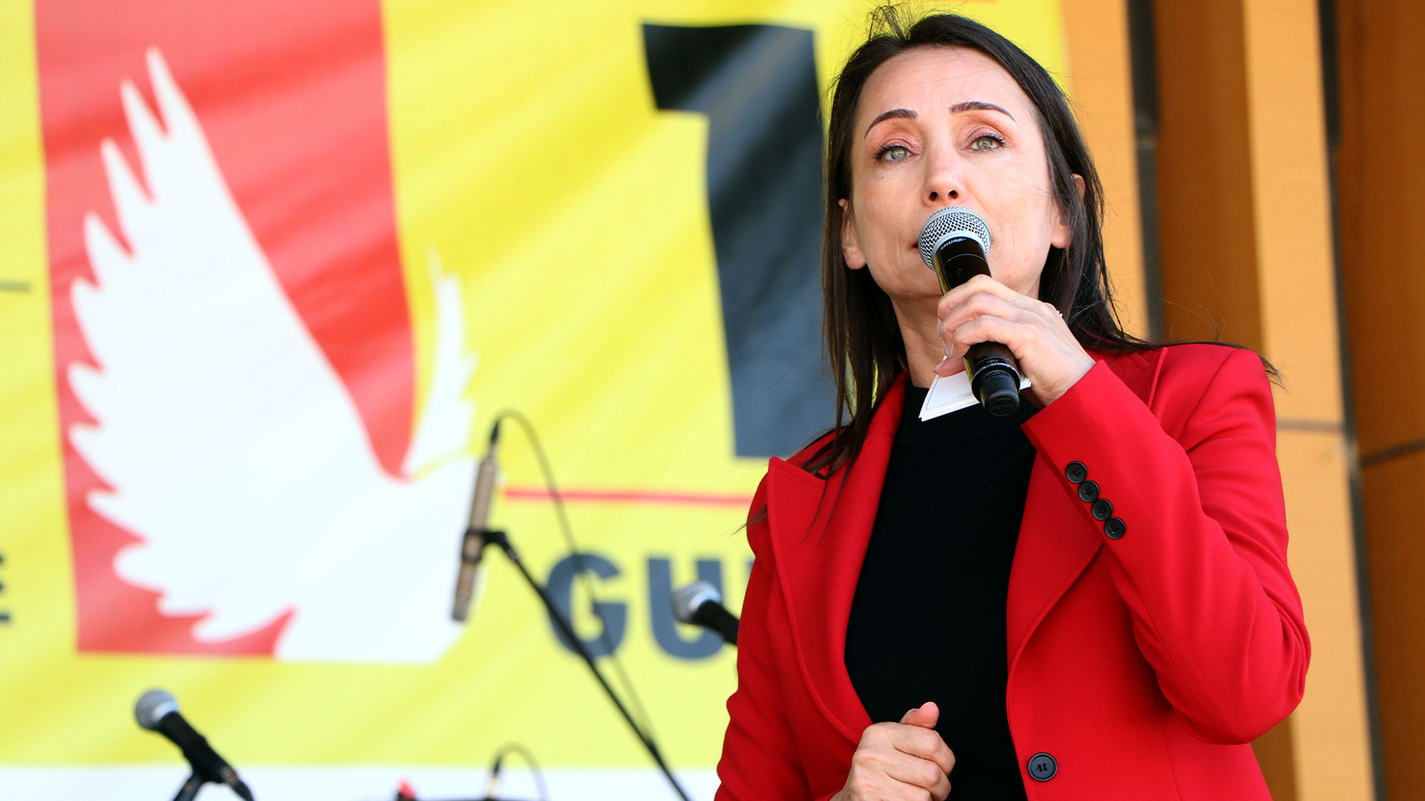 DEM Parti Eş Genel Başkanı Hatimoğulları: Şu çok net bilinmeli ki, barış nehri akacak