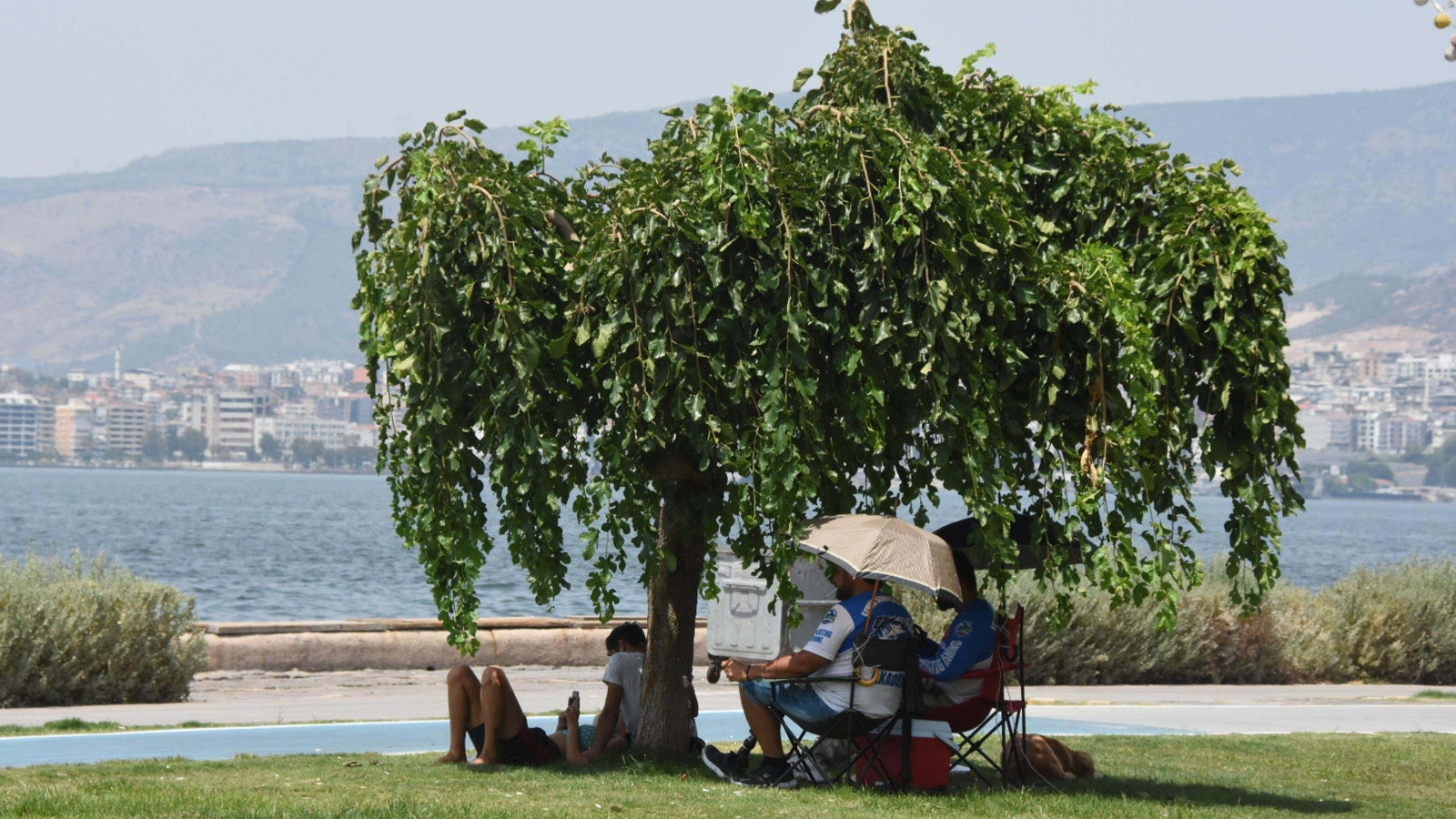 Türkiye için alarm: Bu yaz sıcaklık rekorları gelebilir!