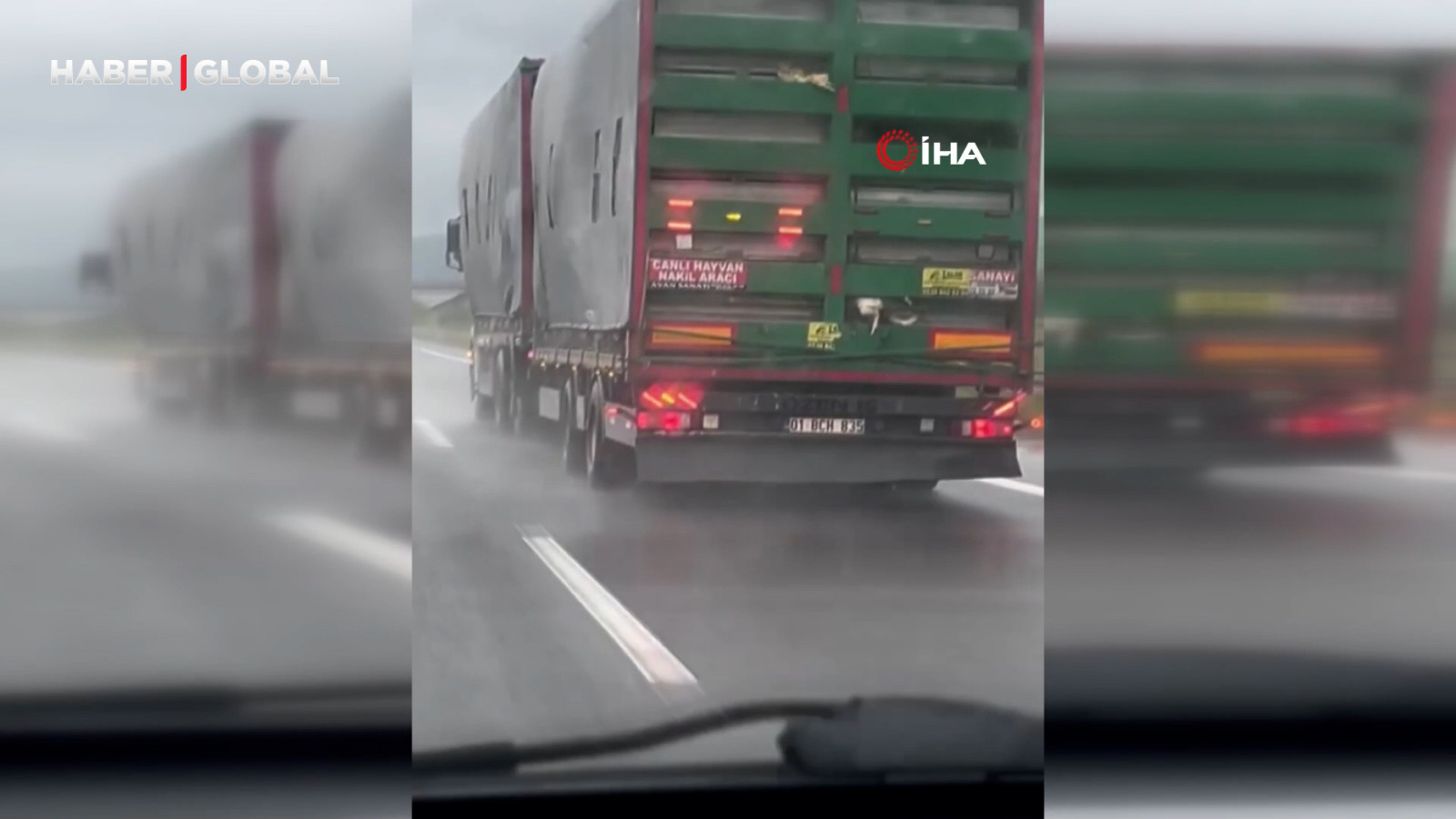 Otoyolda tırdan sarkan tavuklar kameraya yansıdı: "2 tanesi ölmüş, biri düşmek üzere"