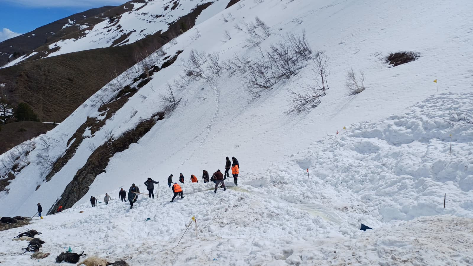 Artvin'de çığ altında kalan çobandan aylardır hiçbir iz yok