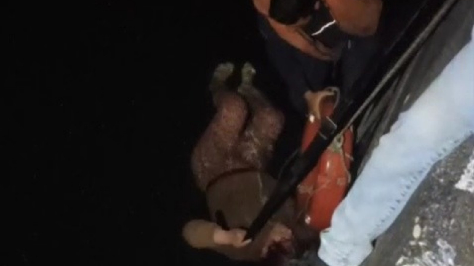 Adana'da Seyhan Nehri'ne düşen kadın kurtarıldı