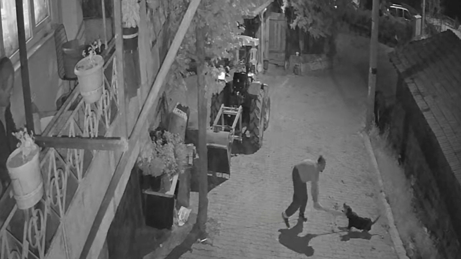 Kocaeli'de kan donduran vahşet! Köpeği demir sopayla öldürdü