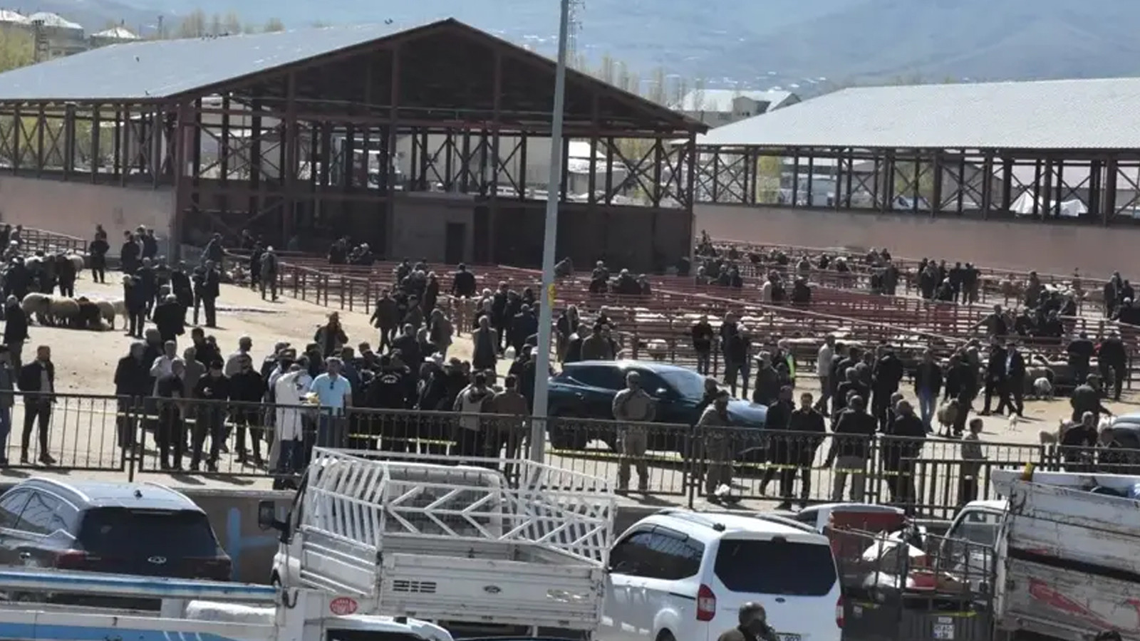Van’daki hayvan pazarında ortalık savaş alanına döndü: Ölü ve yaralılar var