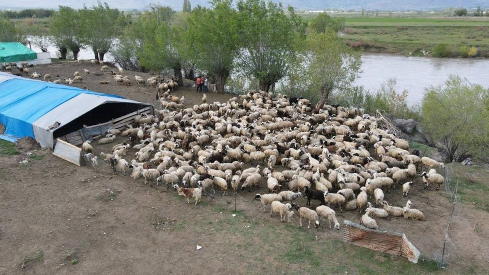 150 bin TL'ye çalışan bulunamıyordu, asgari ücretle işe başladılar