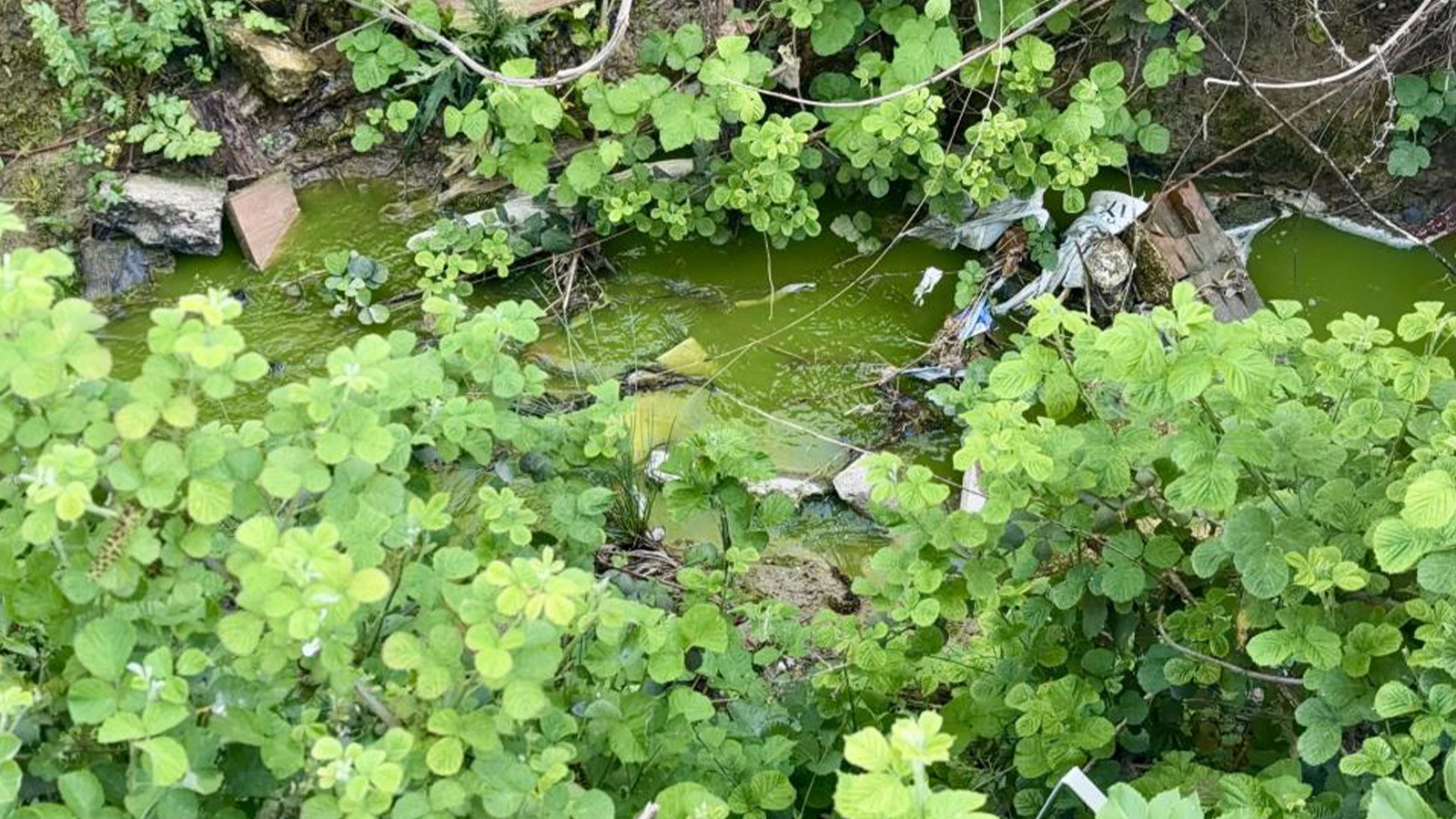 İstanbul'da tedirgin eden görüntü; bölgede durulamıyor