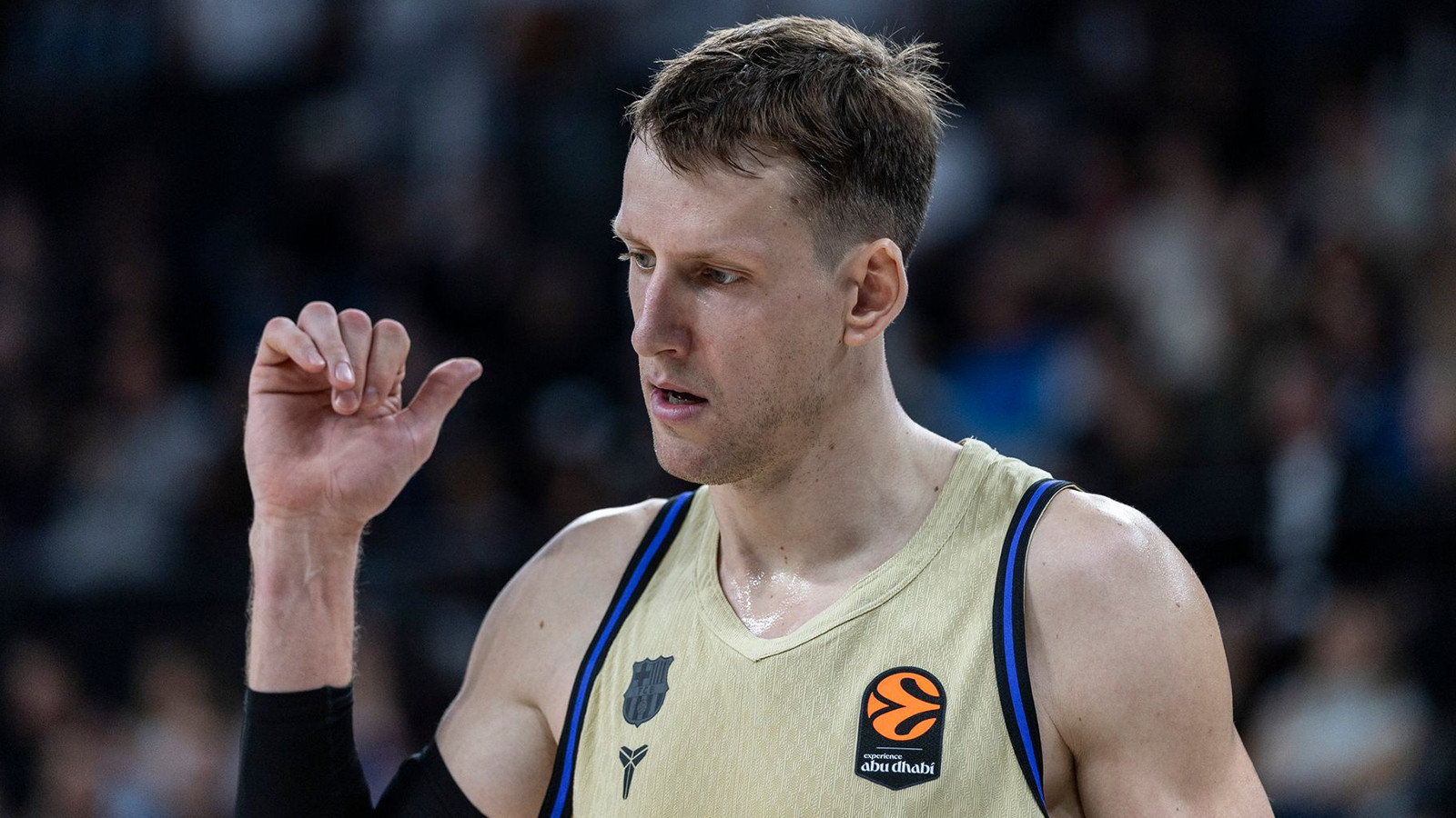 Jan Vesely sezon sonunda basketbolu bırakacağını açıkladı