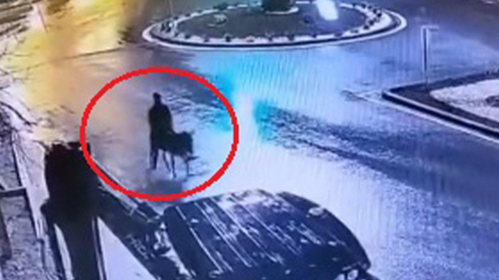 Kayseri'de eşekli kuyumcu soygununa 9 yıl 7 ay hapis cezası!