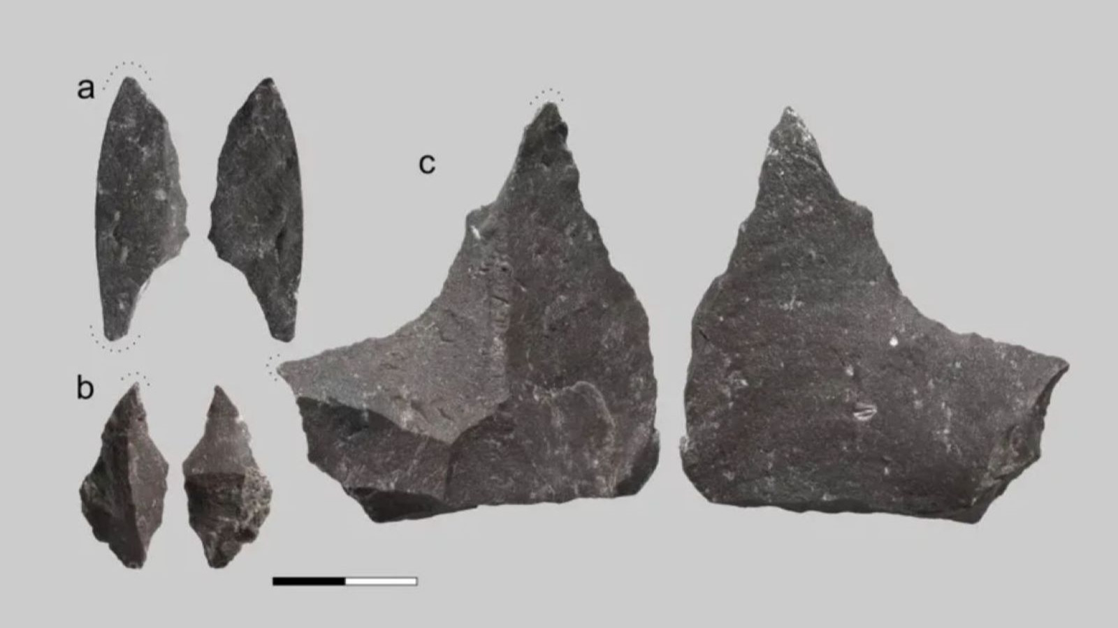 59 bin yıllık diş bilim dünyasını şaşırttı: Neandertallerin tedavi yöntemi ortaya çıktı