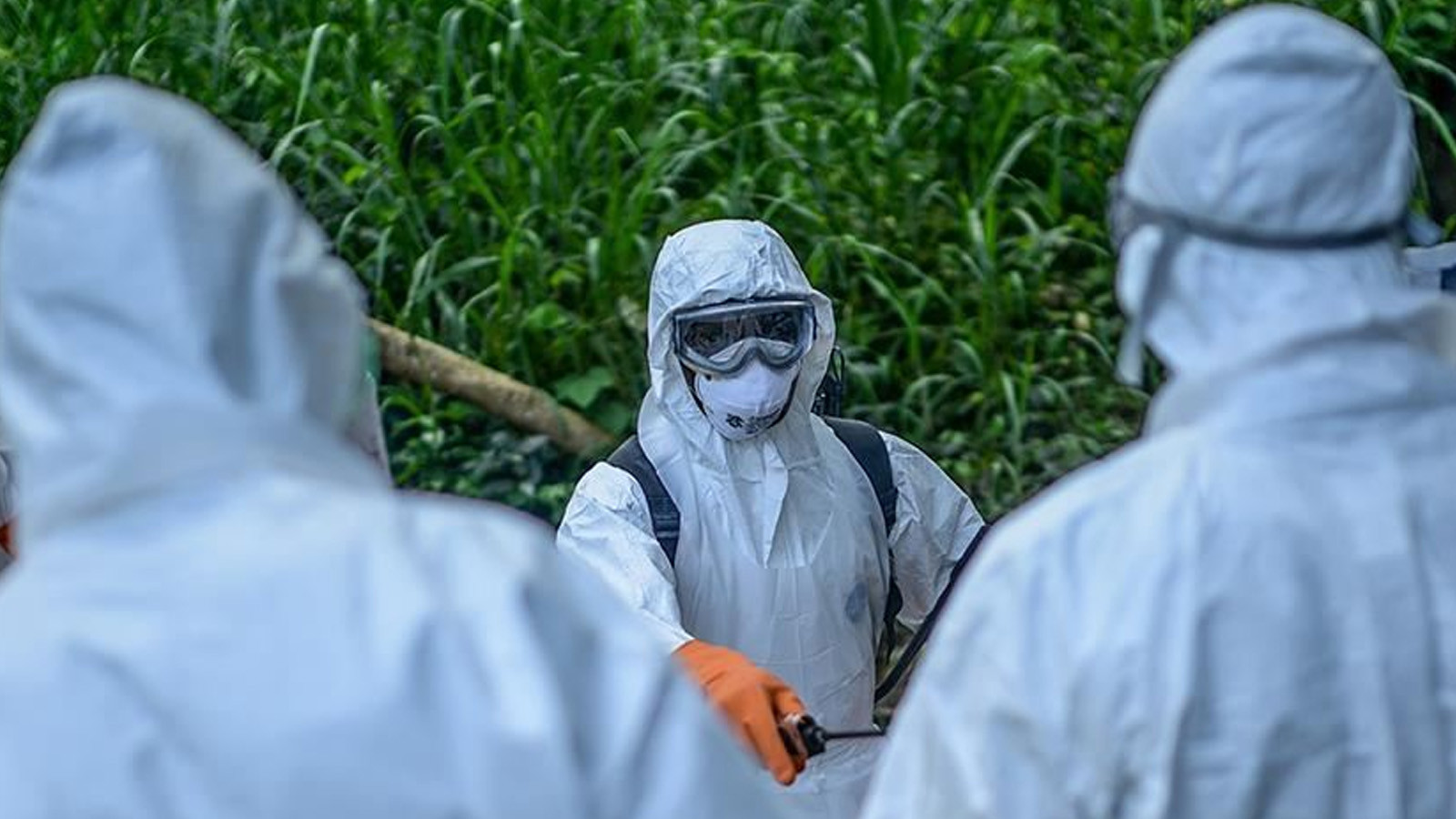 Tehlikenin adı: Ebola salgını! Afrika Birliği'nden 'ortak mücadele' çağrısı