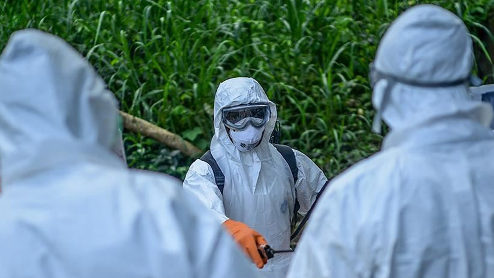 DSÖ'den Ebola salgınına ilişkin yeni açıklama: Bölgesel risk yüksek
