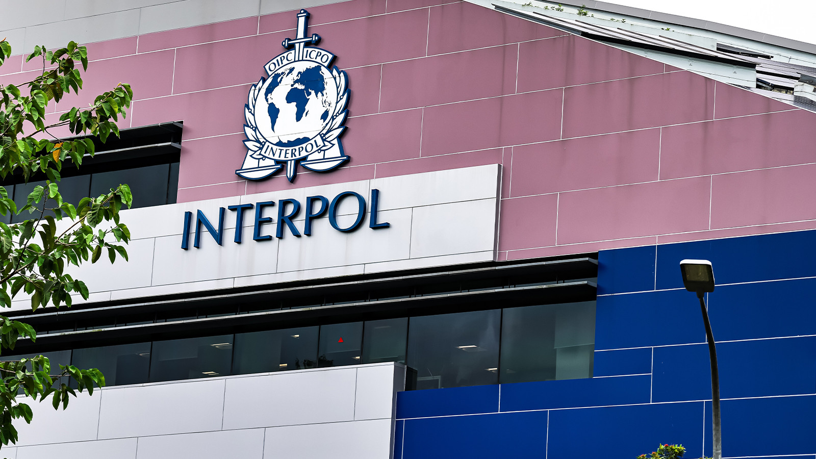 INTERPOL acil toplandı!  Küresel mafya alarma geçirdi