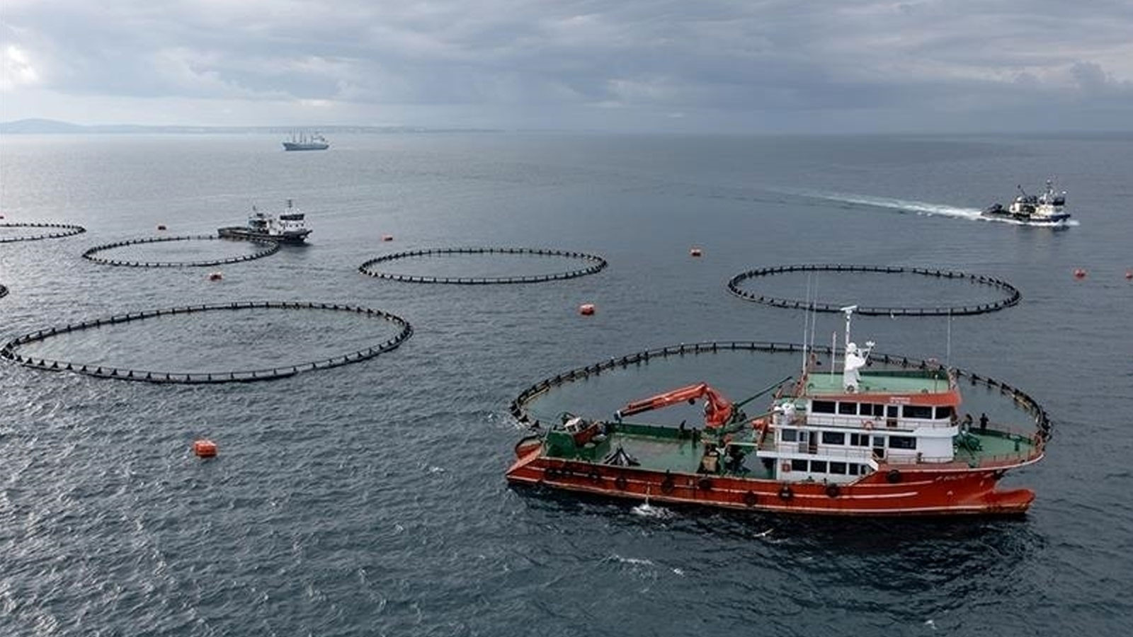 Türkiye geçen yıl 133 ülkeye 2,2 milyar dolarlık su ürünleri ihraç etti