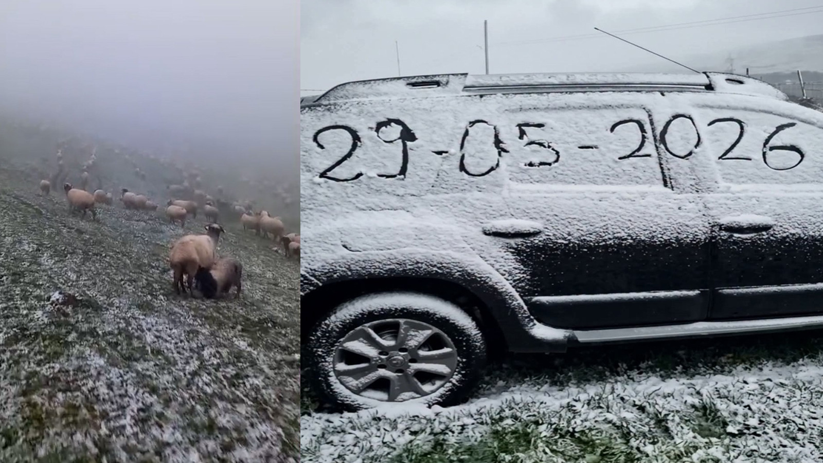 Yaz beklenirken kar geri geldi