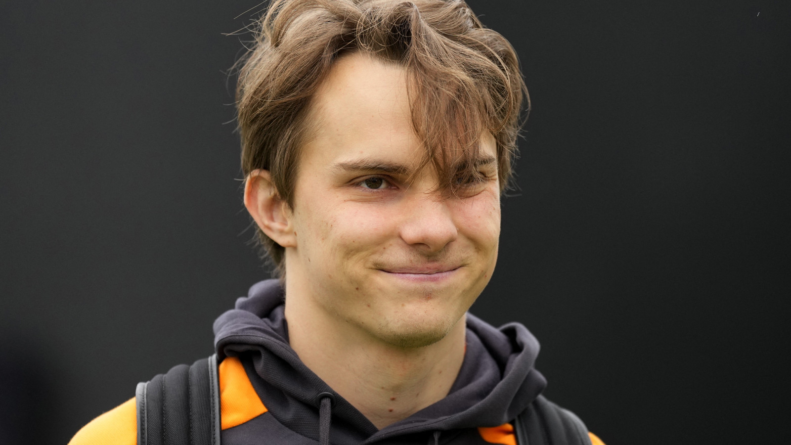 Yeni keşfedilen yaban arısı türüne F1 pilotu Oscar Piastri'nin adı verildi