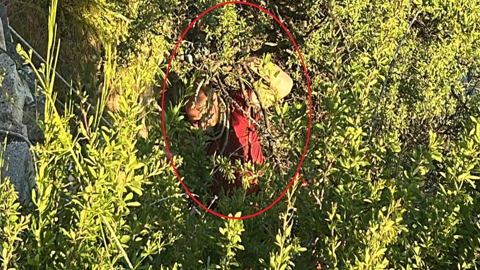 Tedaviyi reddedip kaçtı, dere yatağına düşerek ağaçta asılı kaldı