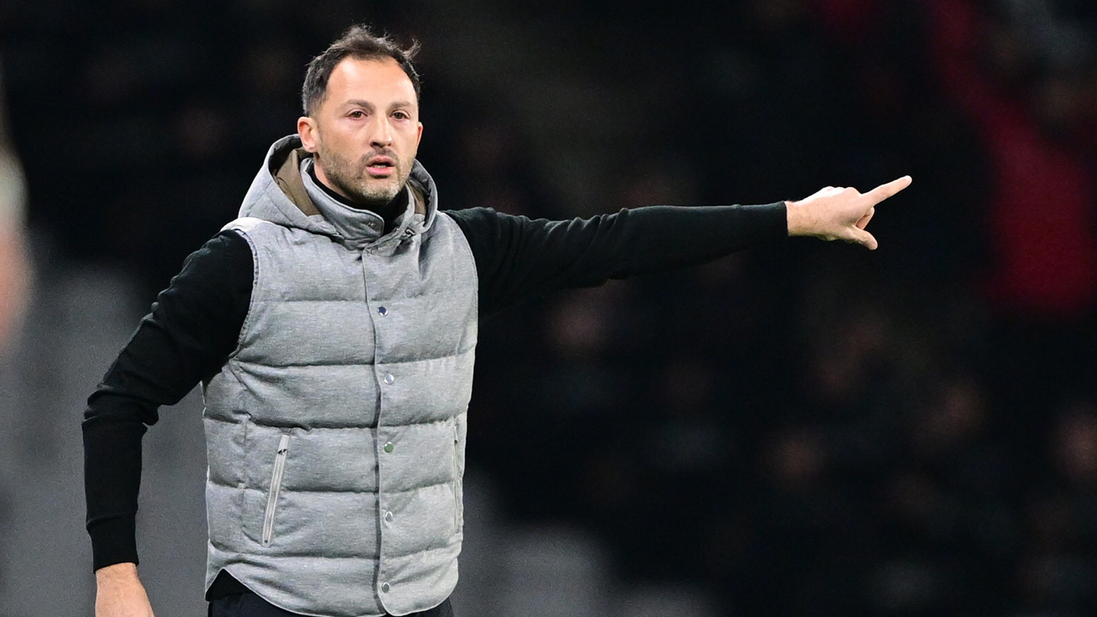 Bologna, Domenico Tedesco'yu resmen duyurdu
