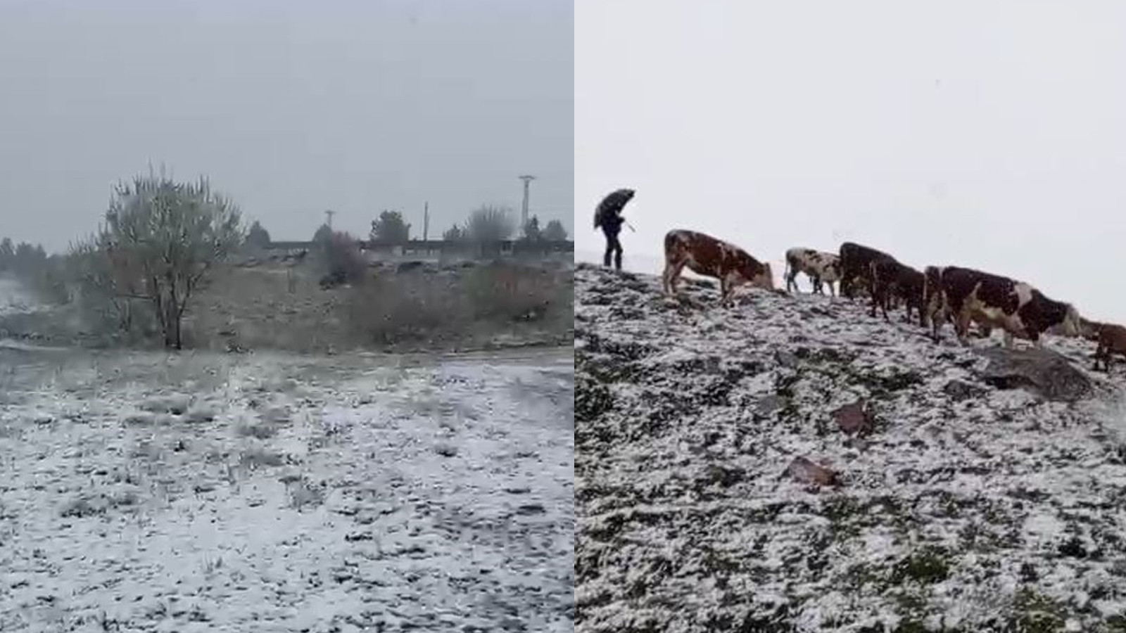 Haziran ayında kar sürprizi: Beyaza büründü