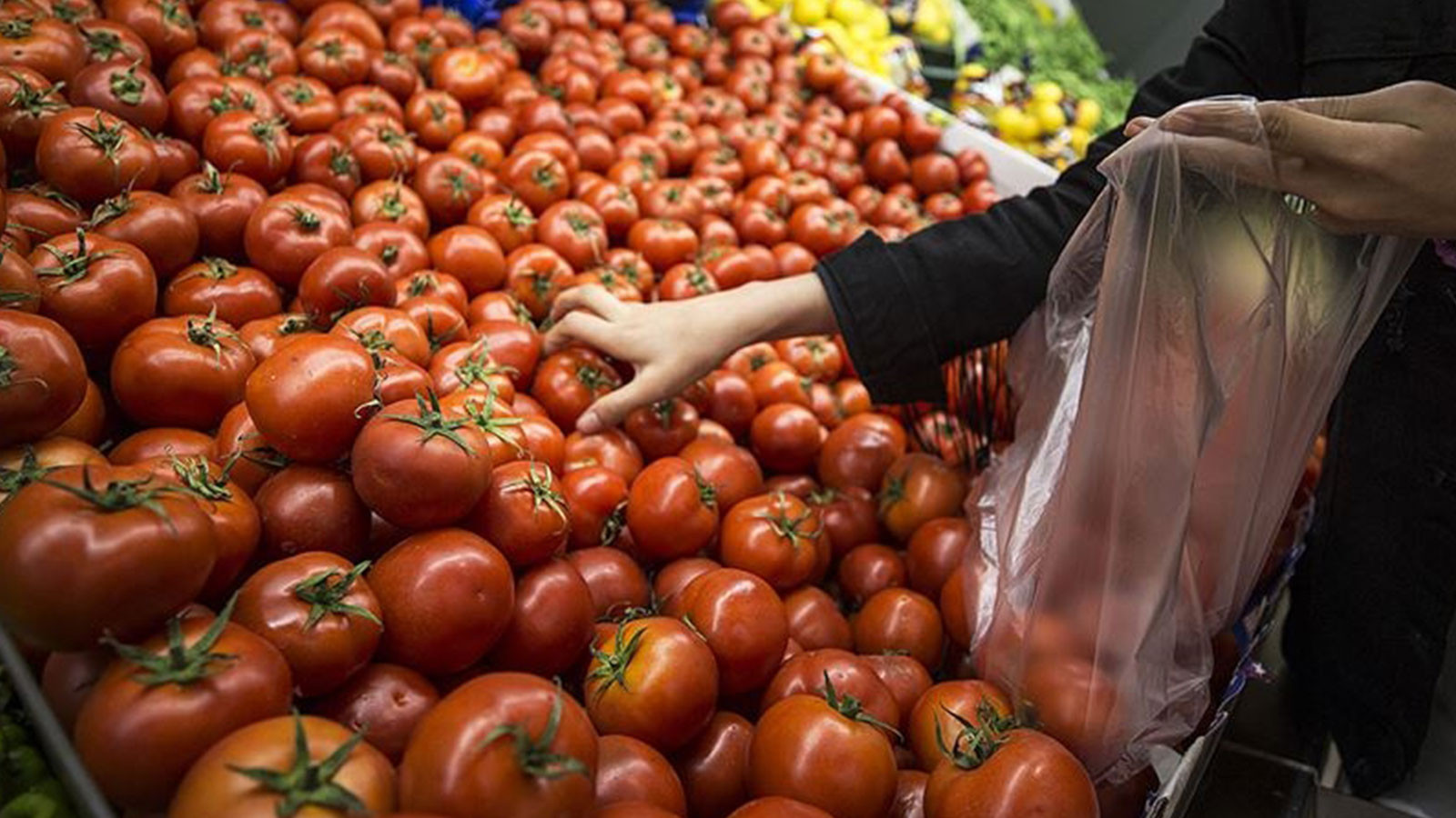 Mayıs Ayı Enflasyon Verileri Yayınlandı
