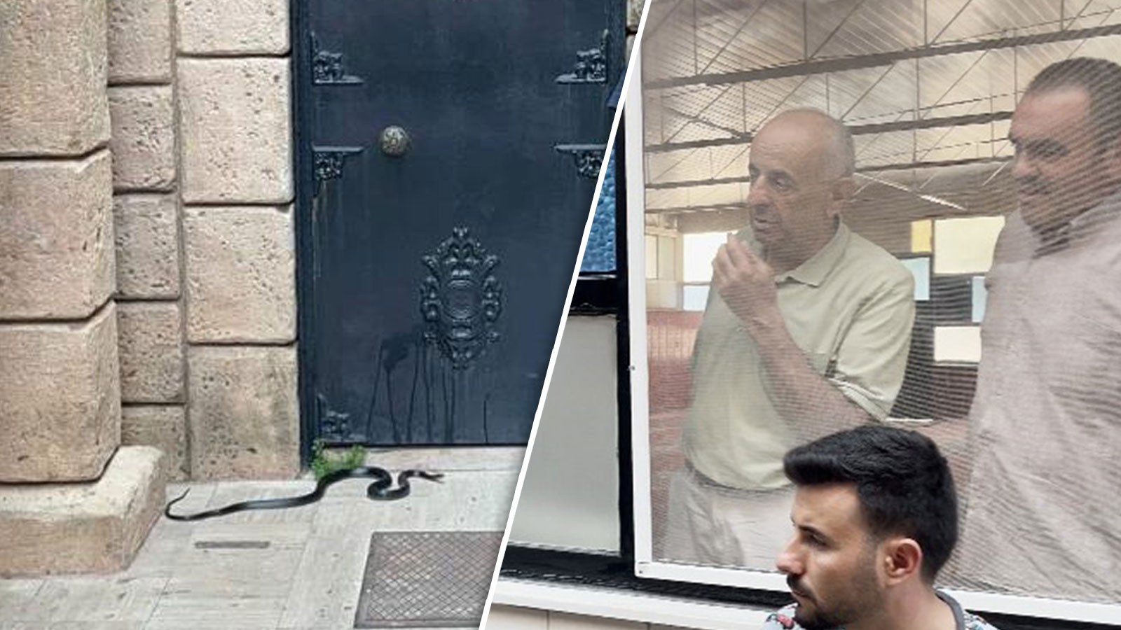 Namaza giden cemaate yılan şoku!