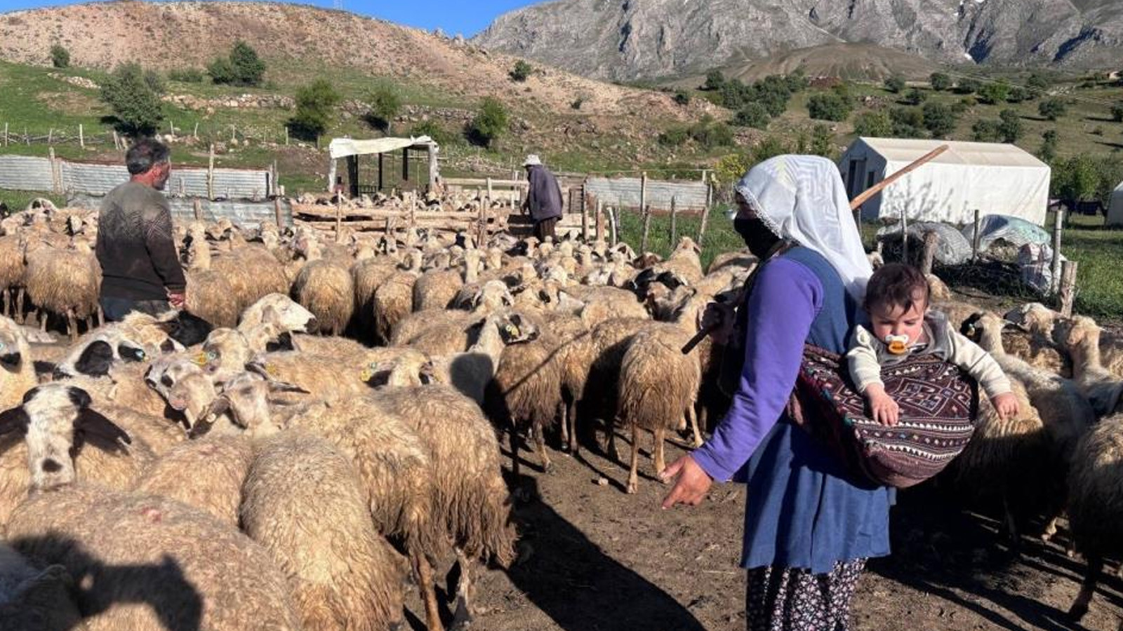 Tarım destekleri üzerinden vurgun girişimi: Bakanlıktan açık