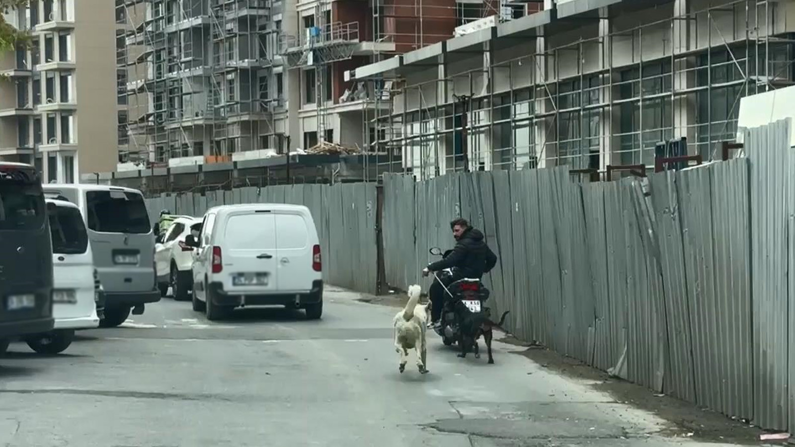 İstanbul'da İnsanlık Dışı Olay: Motosiklete Bağlı Köpek Koşturuldu
