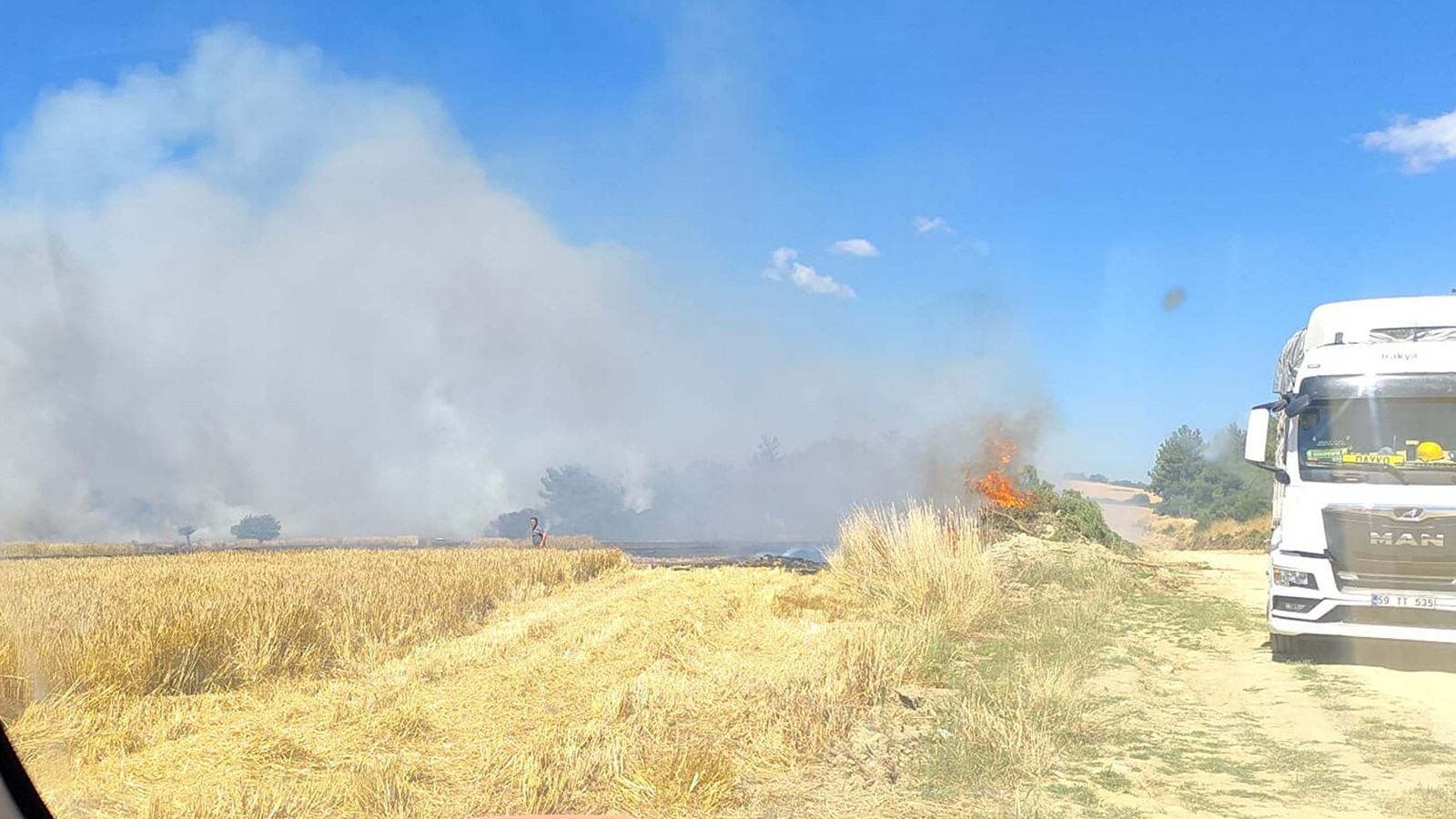 Çanakkale'de orman yangını