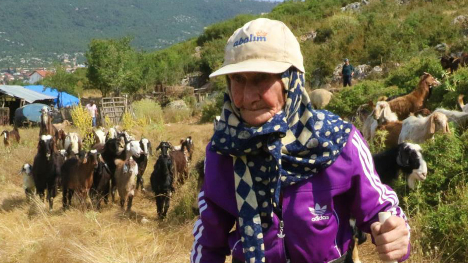 Antalya'nın Azimli Çobanı: 94 Yaşındaki Emine Nine