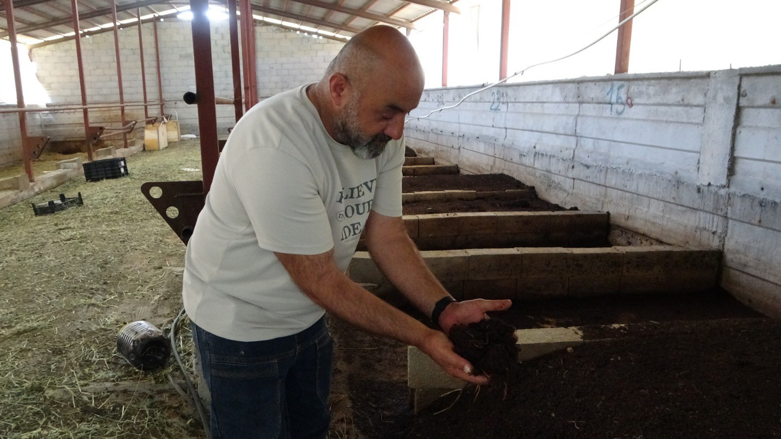 Evinin bahçesinde üretmeye başladı; 6 ay ile 1 yılda elde ediyor