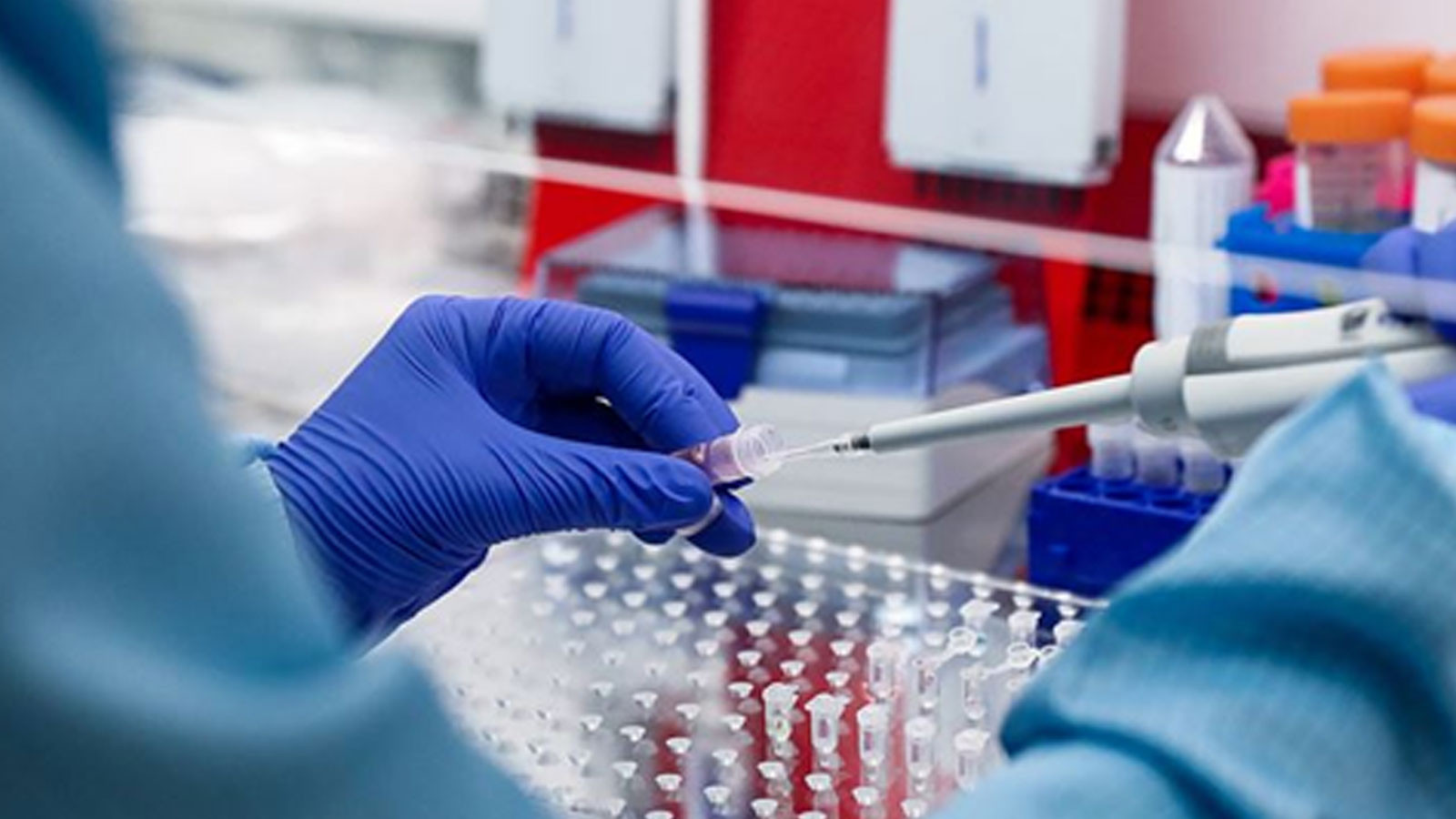 Yargıtay, DNA testi isteyen kocaya açılan 'ayrılık' davasını kabul etti