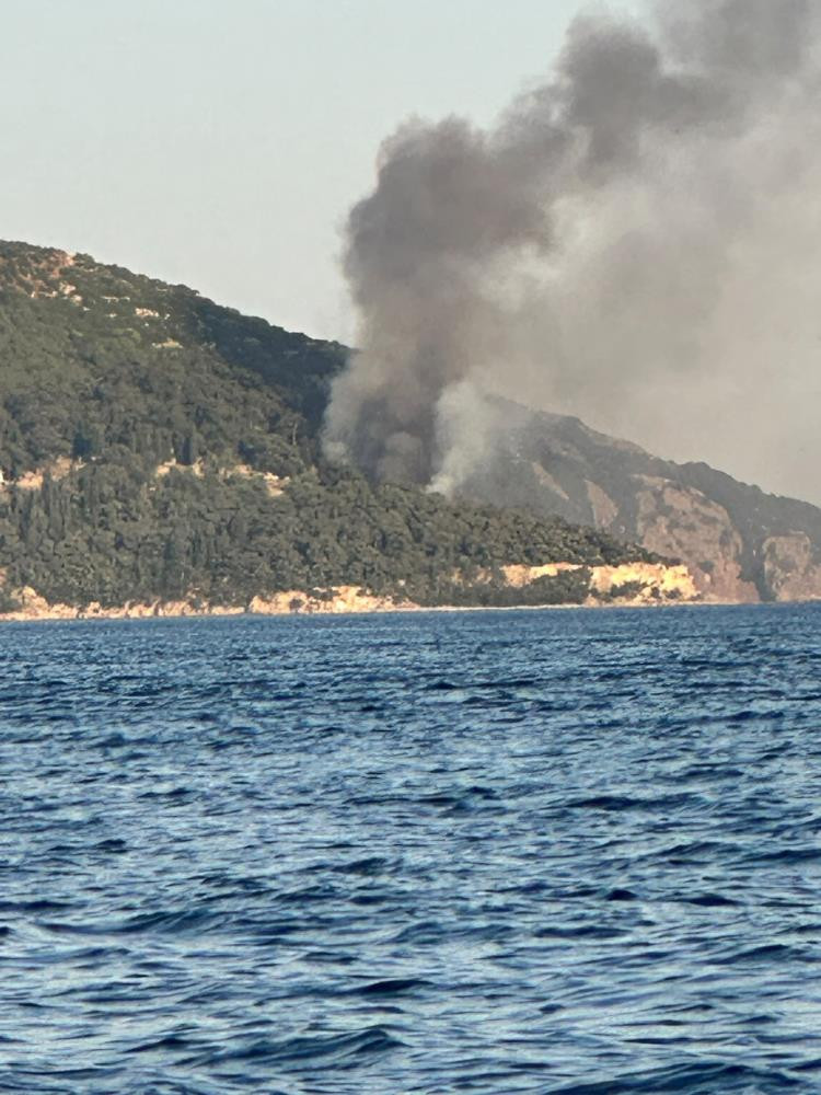 Büyükada'da Viranbağ Plajı’nda yangın paniği! - Resim : 1