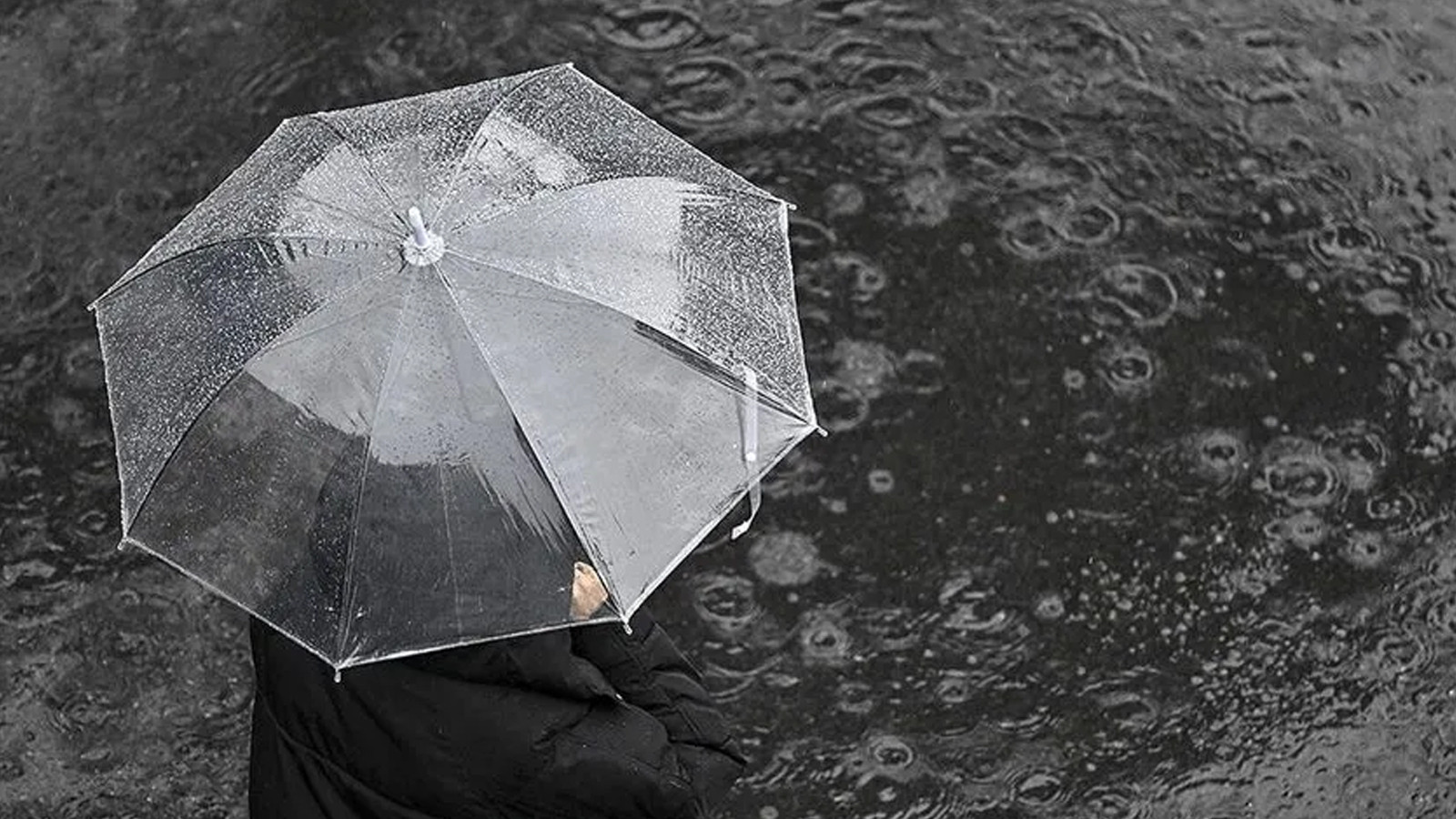 Meteoroloji'den sarı kodlu uyarı! Kuvvetli yağışa dikkat