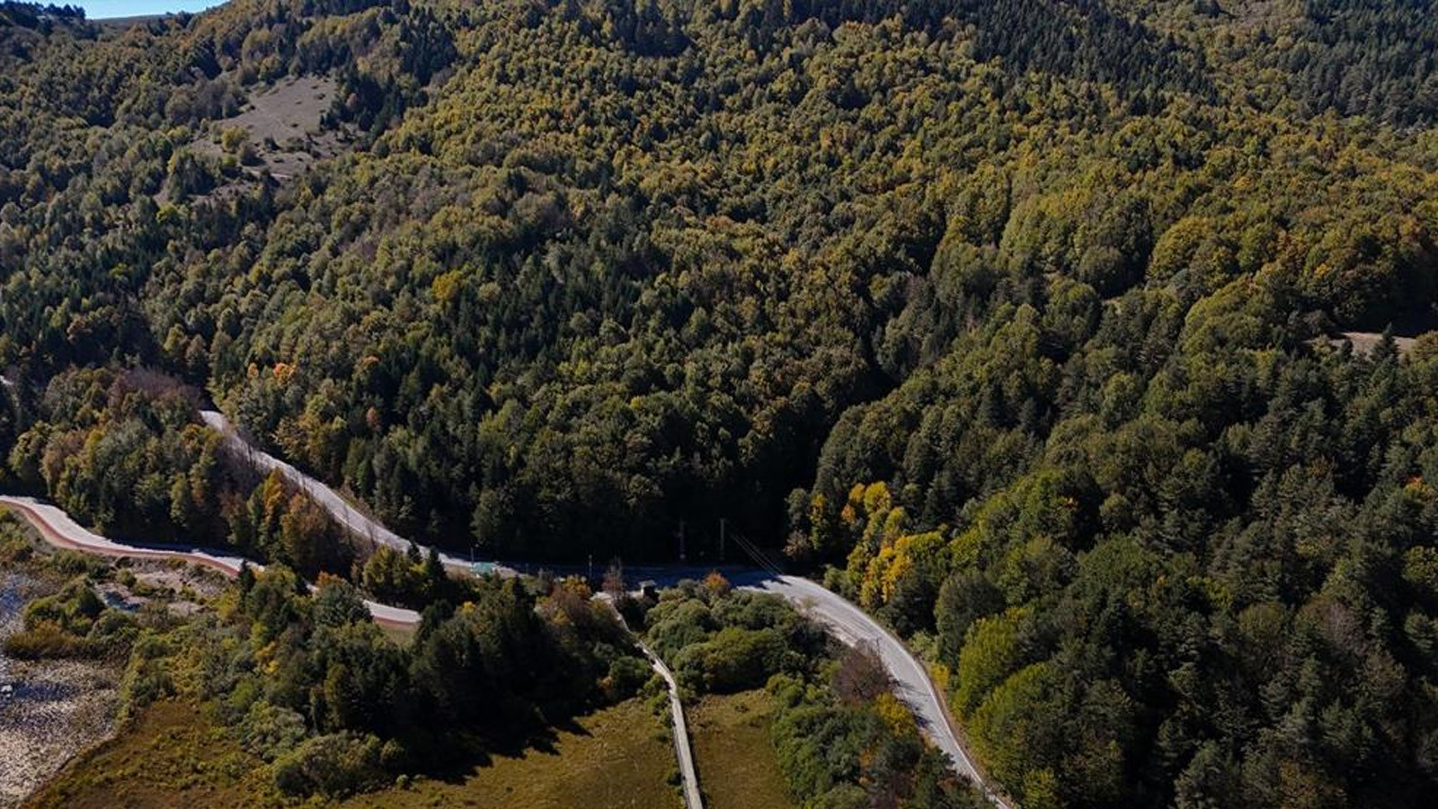 Bolu'da Ormanlara Girişler Yasaklandı