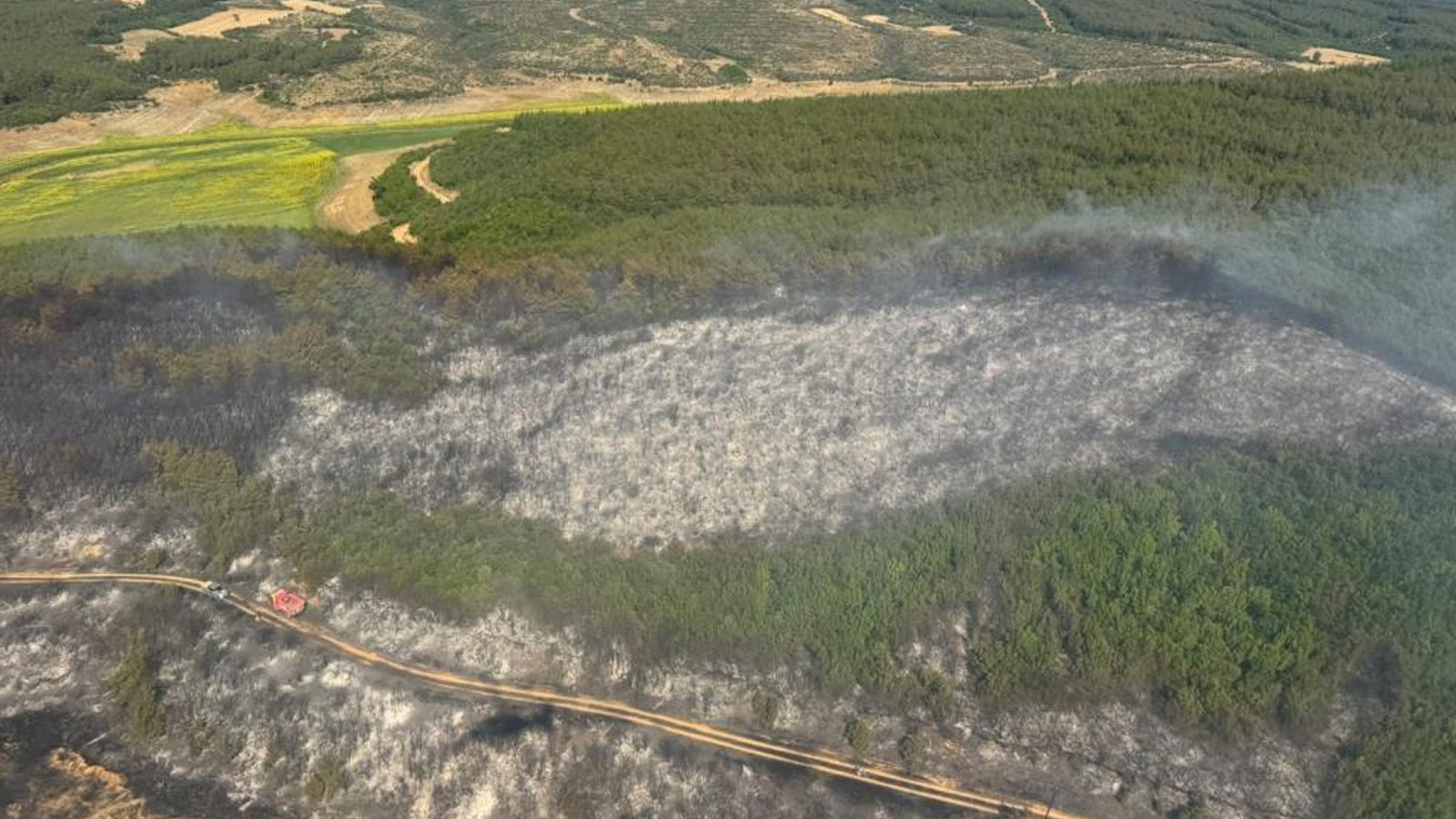 Tekirdağ Malkara'da Orman Yangını Kontrol Altında
