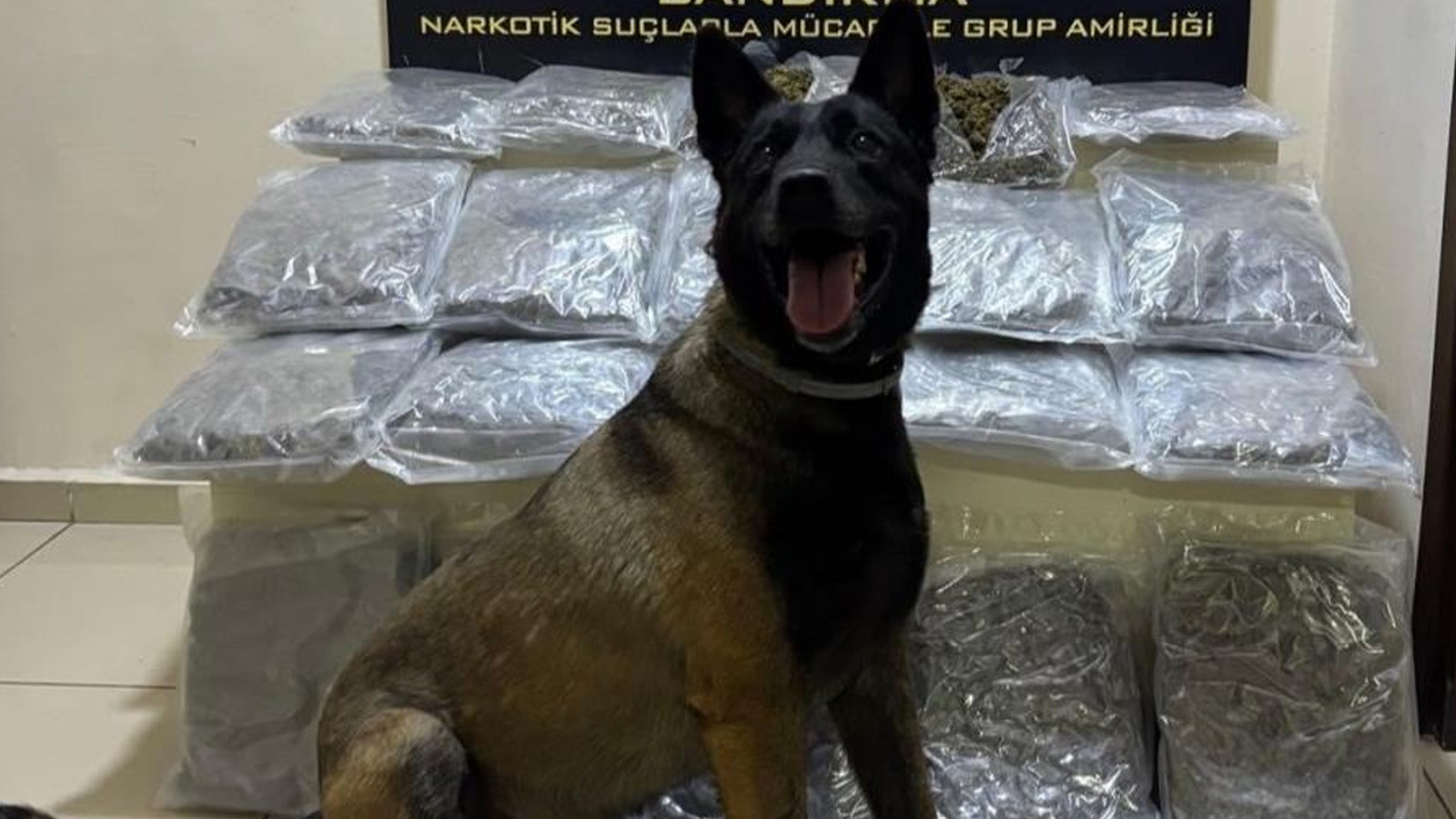 "Dark" tepki gösterdi, ekipler açığa çıkardı! Gübre torbalarının altından 11 kilo uyuşturucu çıktı
