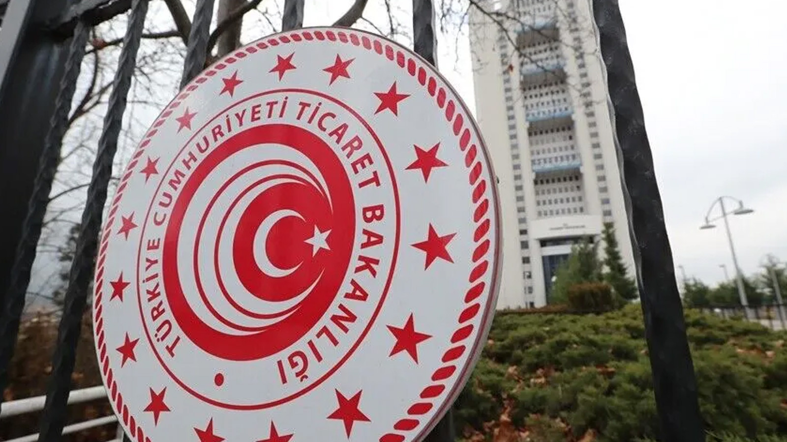 Engelli Araç İthalatına Randevu Sistemi Geliyor