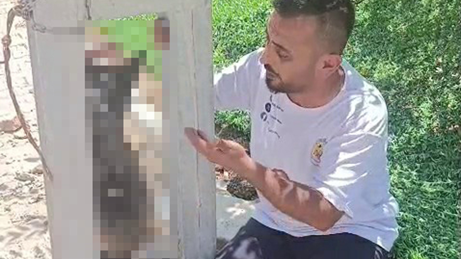 Hatay'da evin avlusundan çalınan köpek, elektrik direğine asılı halde ölü bulundu