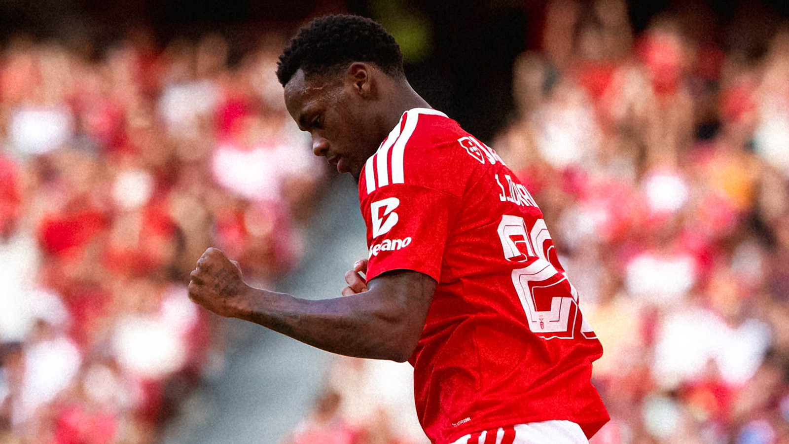 Jhon Duran Benfica Formasıyla İlk Maçında Gol ve Asiste İmza Attı