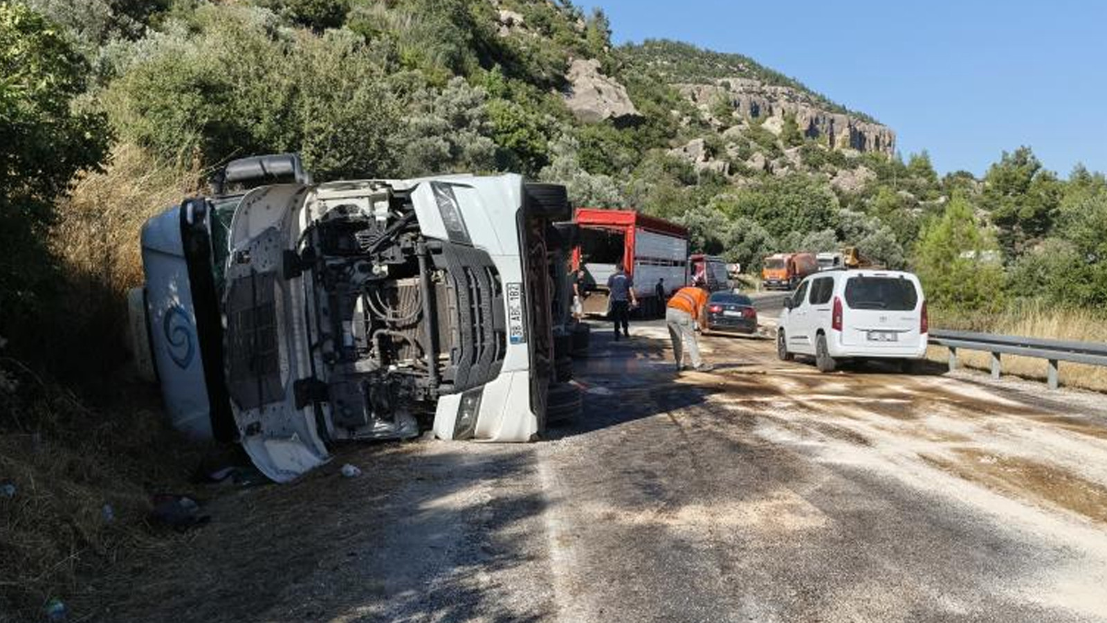 Mersin'de büyükbaş hayvan yüklü tır devrildi: Çok sayıda hayvan telef oldu