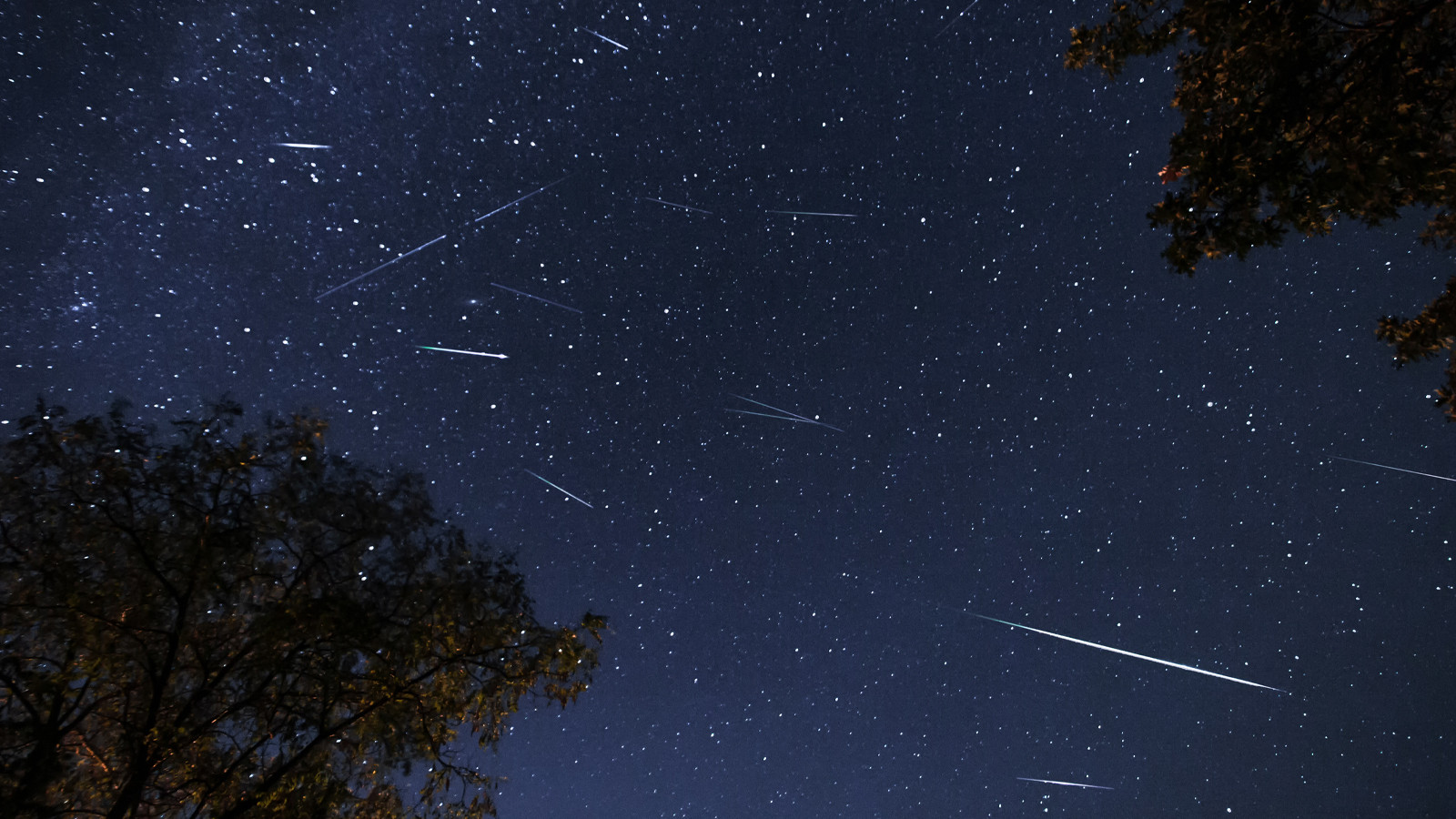 Perseid meteor yağmuru ne zaman gerçekleşecek? Gözünüz gökyüzünde olsun!