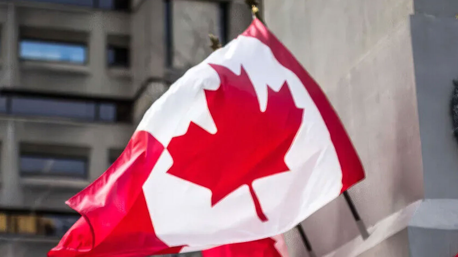 Kanada'da Winnipeg Camisine Silahlı Saldırı