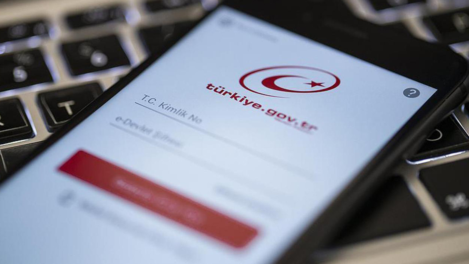 E-Devlet'te yeni hizmet: Unutulan para sorgulaması başladı