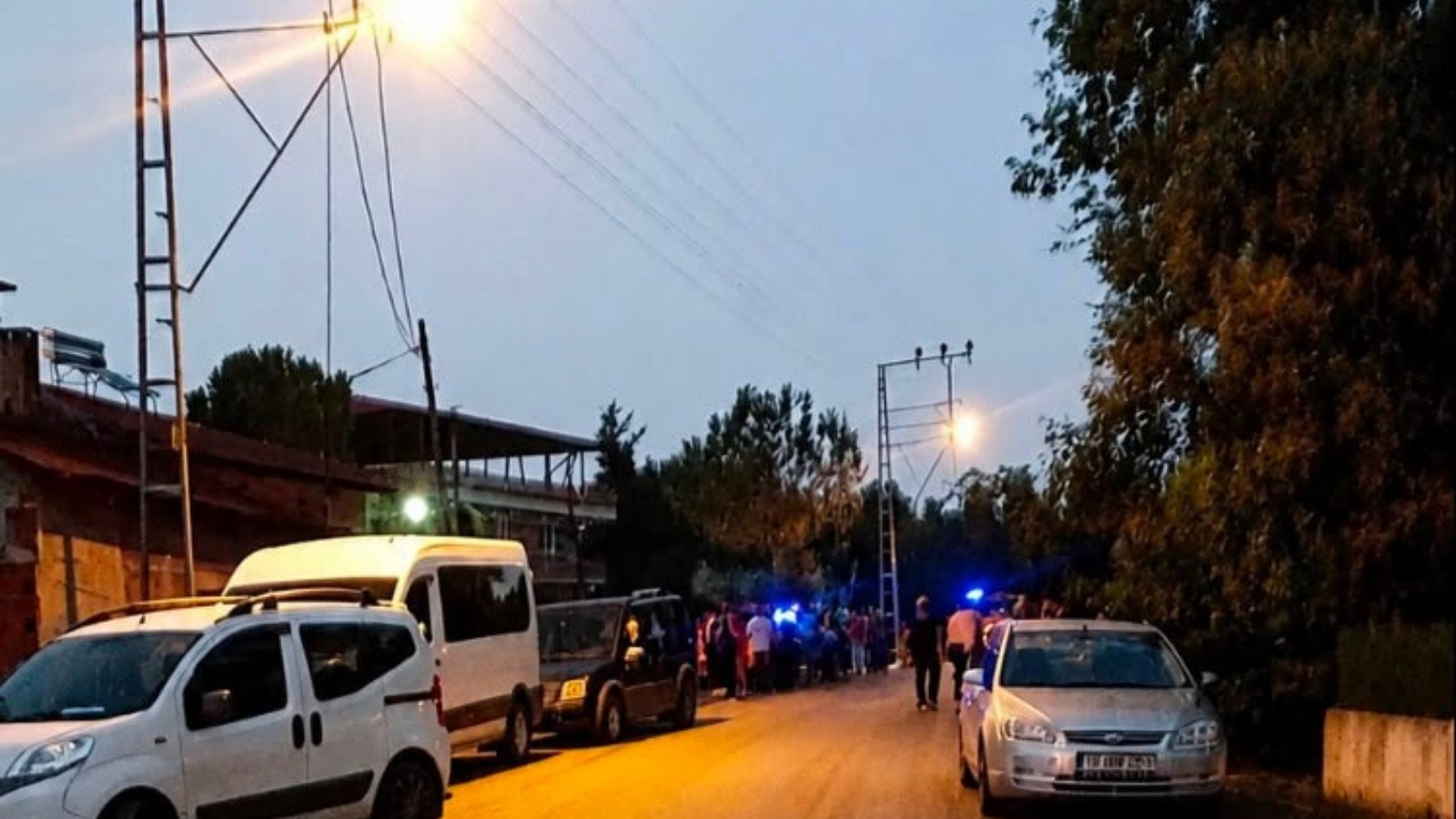 Ayva ağacını kesen amcasını tabancayla katletti