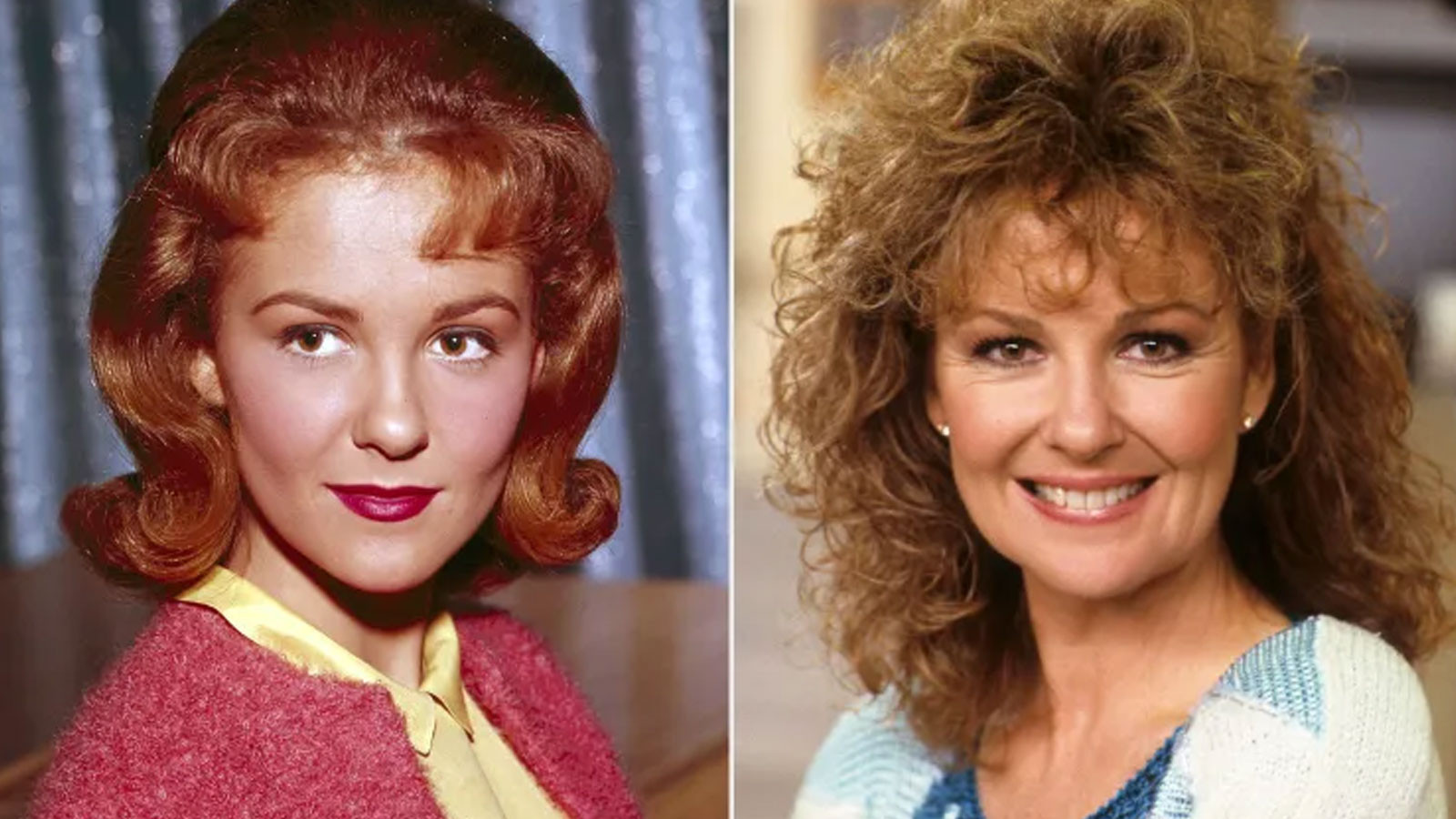 Hollywood’un unutulmaz isimi oyuncu ve şarkıcı Shelley Fabares hayatını kaybetti!