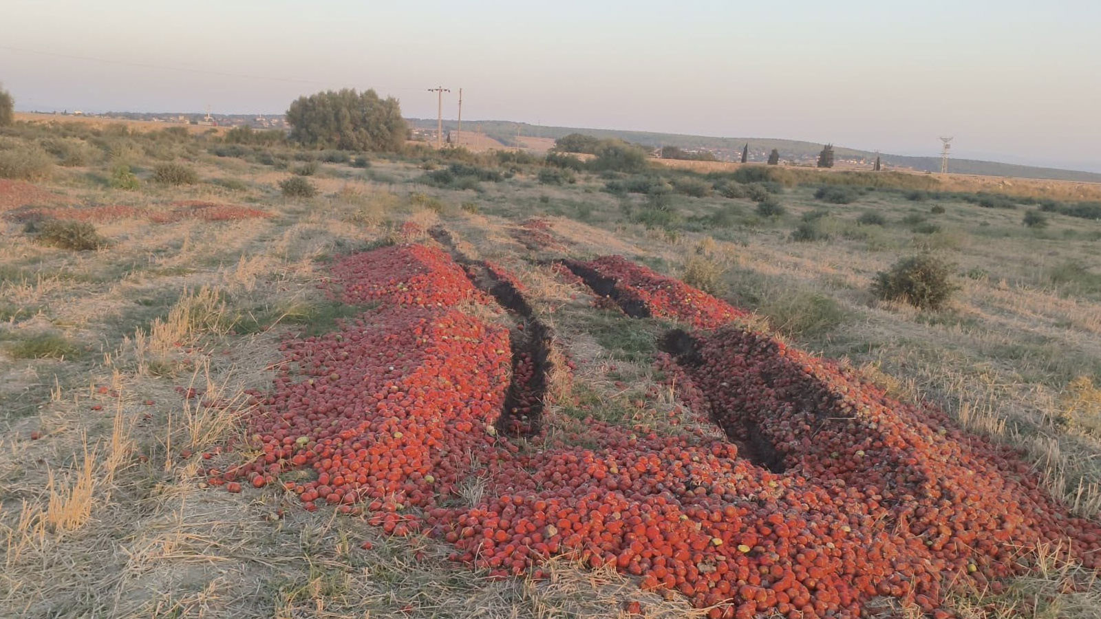 Türkiye ihracatta rekora koştu: Temmuzda tarihi seviye