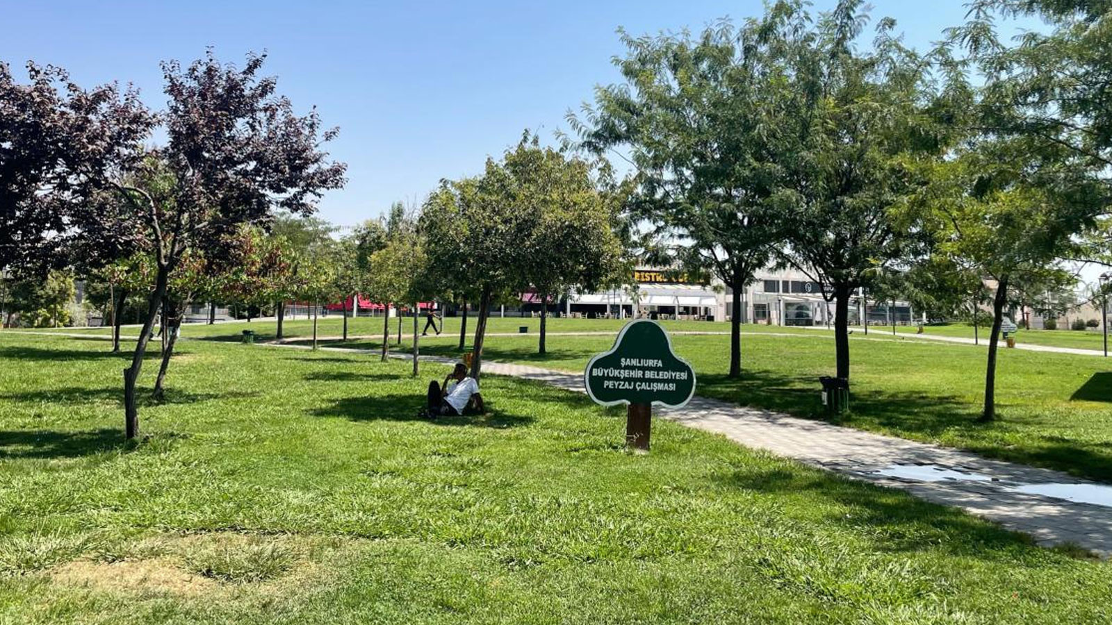Şanlıurfa'da termometreler 46 dereceyi gösterdi