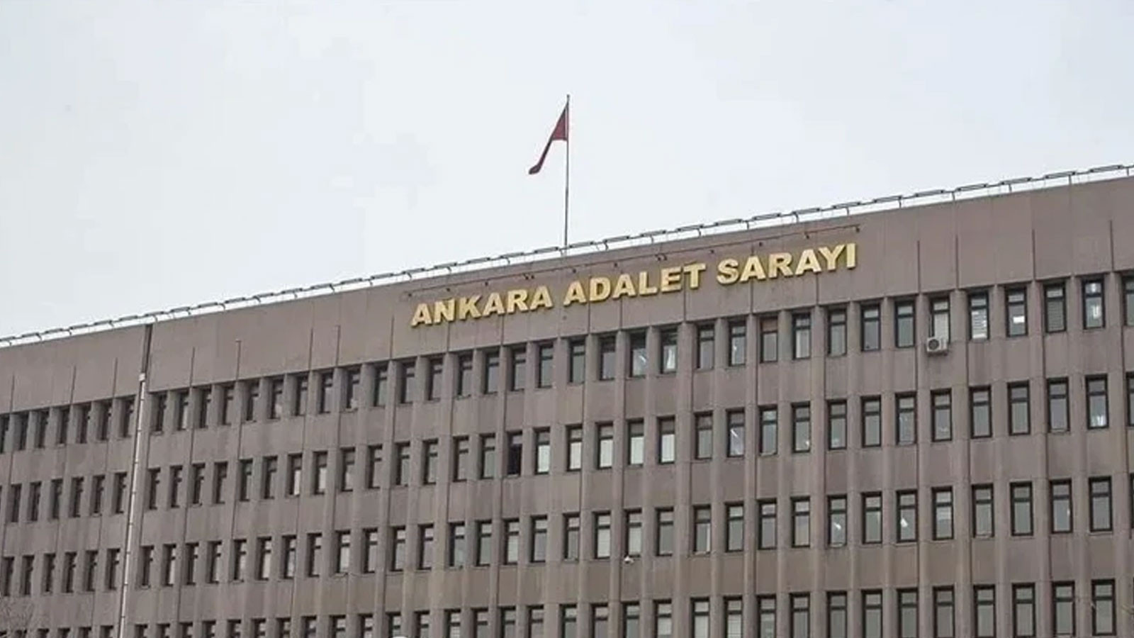 Yavru kediyi işkence ederek öldürmüşlerdi: 2 şahıs hakkında soruşturma başlatıldı