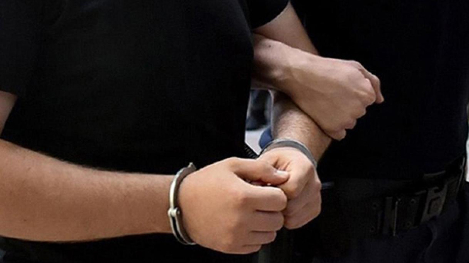 Gürcistan’da ortak operasyon: Kırmızı bültenle aranan 22 suçlu yakalandı